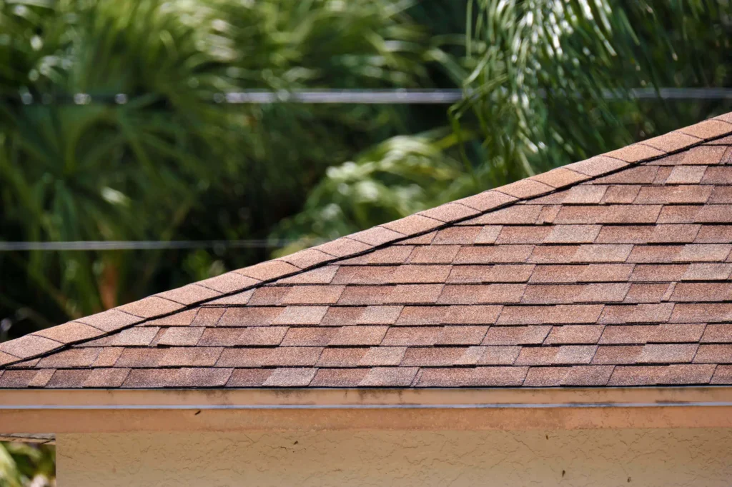 residential roof replacement and other roofing services in fort lauderdale
